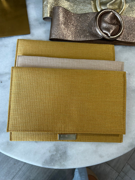Gold and Champagne Clutch Purse