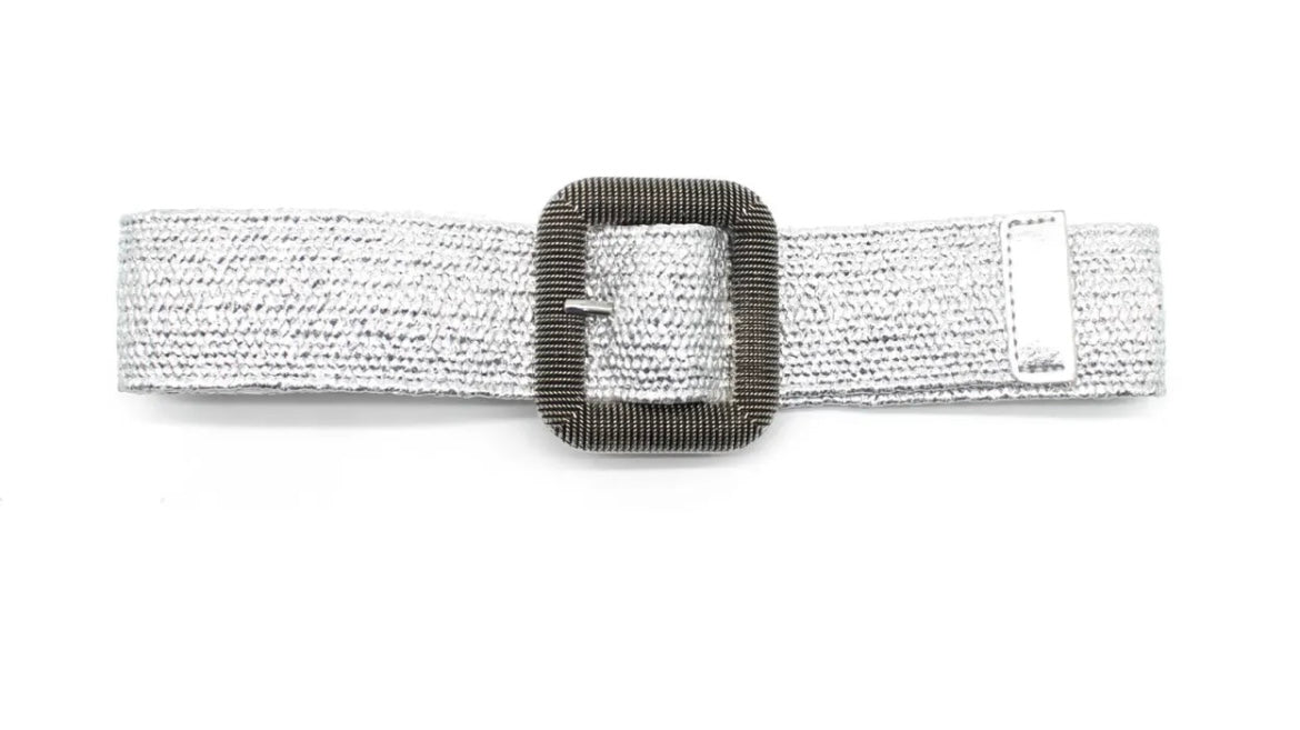 Metallic Belts