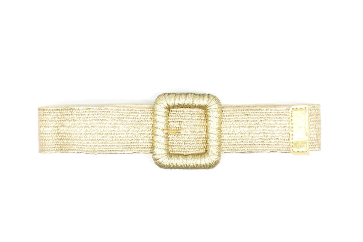 Metallic Belts