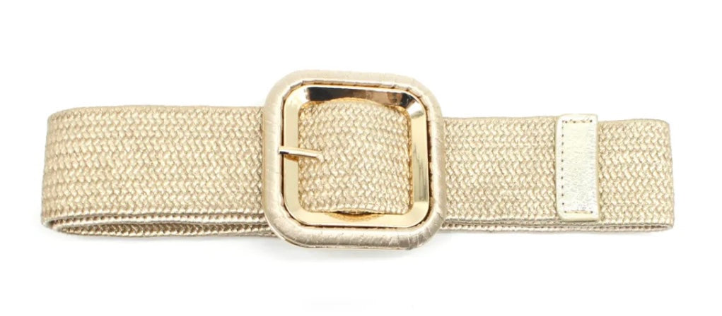 Metallic Belts